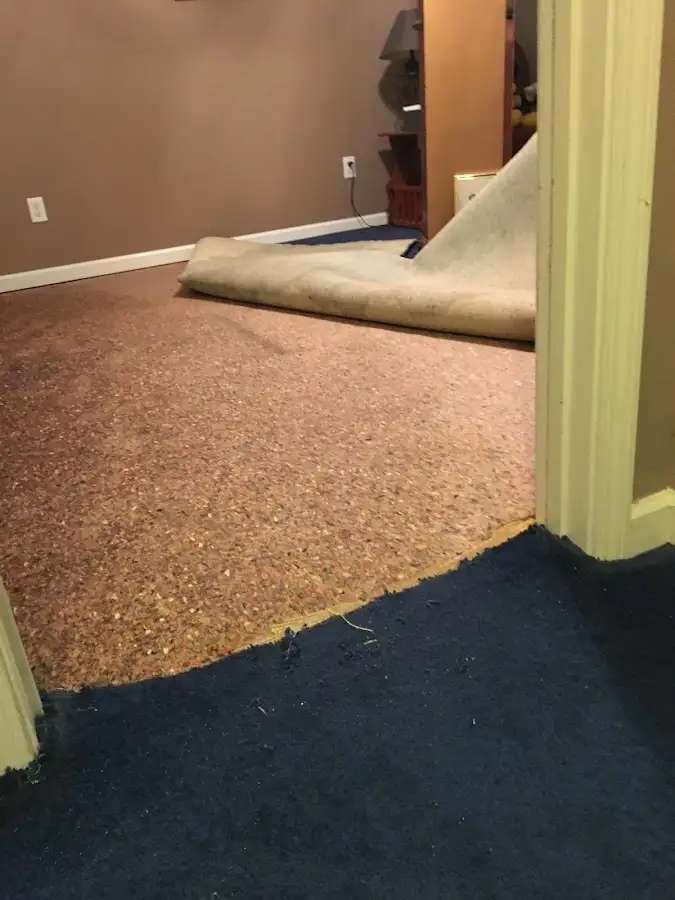 Carpet pad removal revealing water damage during Water Mitigation Services in Lyons