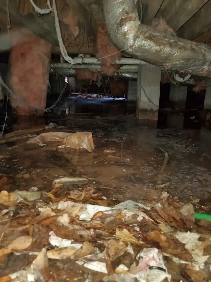 Crawl space flood assessment for Commercial Water Damage Restoration in Lyons