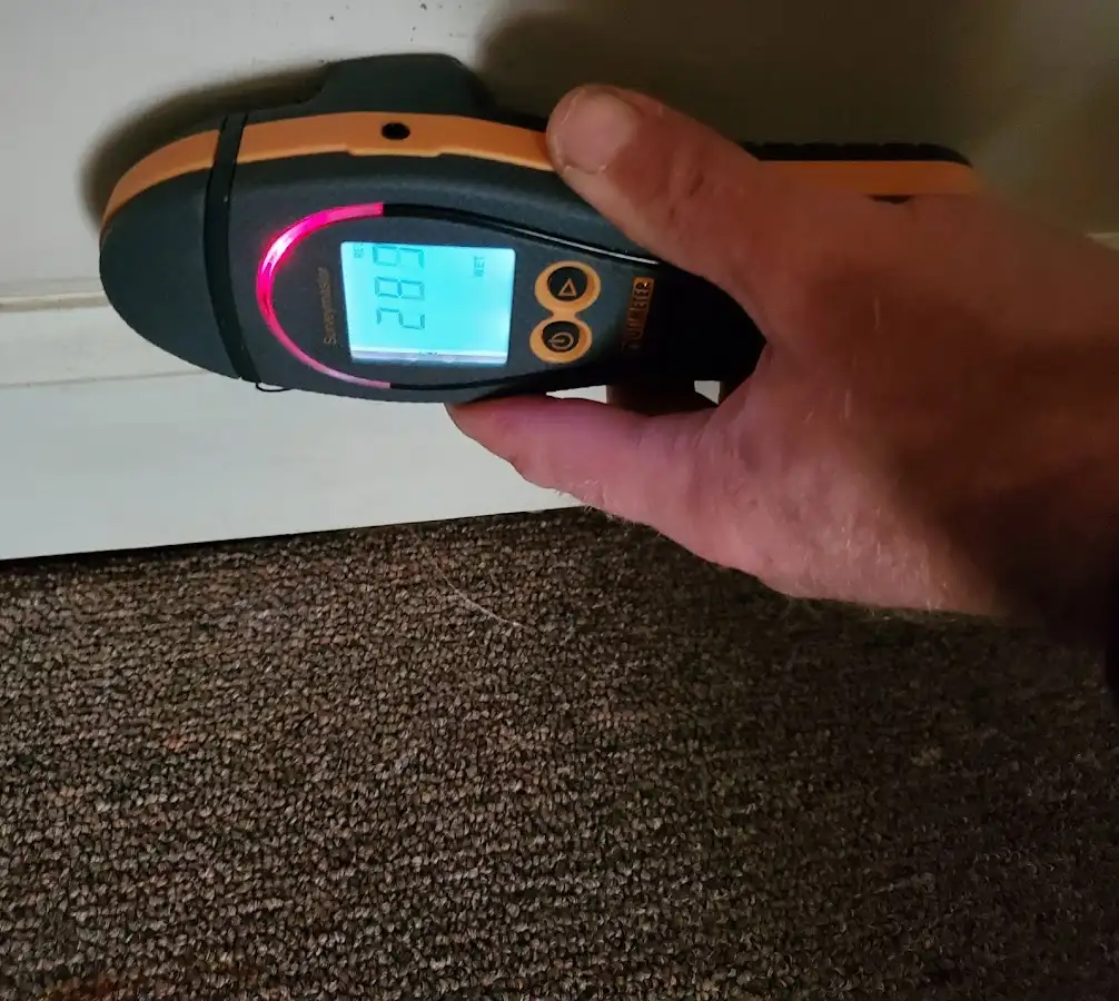 Moisture detection at baseboard during Sewage Cleanup & Sanitation in Lyons